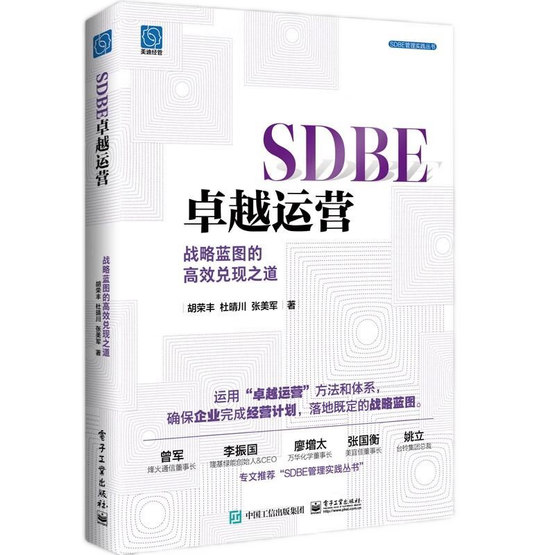 SDBE战略和BLM战略管理5册：SDBE战略六力：将战略做实的6个关键+SDBE战略与洞察+SDBE卓越运营+业务增长战略+从战略到执行