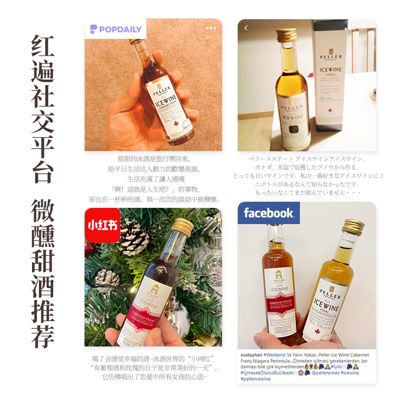 加拿大进口琵乐Peller冰酒甜白葡萄酒冰红冰白果酒甜酒50ml*2瓶装 - 图1