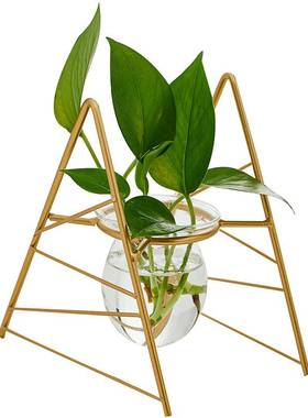 北欧创意铁艺玄关水培花瓶小摆件 ins桌面房间客厅插花家居装饰品