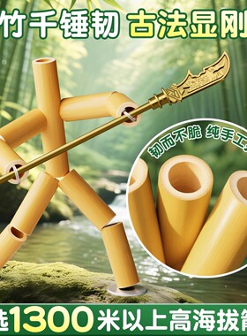 竹节人六年级上册对战玩具