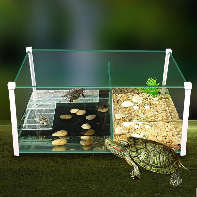 养螃蟹专用缸水陆两栖龟缸生态鱼缸爬台景观欣赏混养缸饲养小别墅