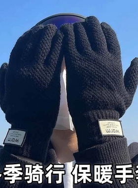 Winter men's woolen gloves, autumn and winter knitted thick