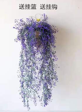 绿植挂壁新款花盆吊篮仿真客厅