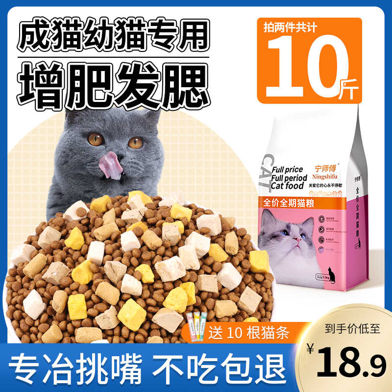 手数料無料 ジェーピースタイル 幼猫用離乳食 4g Dprd Jatimprov Go Id