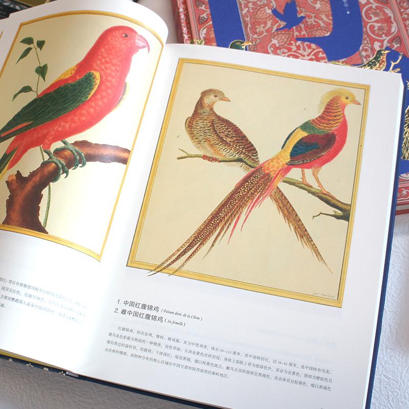 【现货正版】全套5册鸟的王国:欧洲雕版艺术中的鸟类图谱1-5人民文学出版社布封著雕刻绘画鸟类博物经典鸟的世界博物艺术志书籍-图0