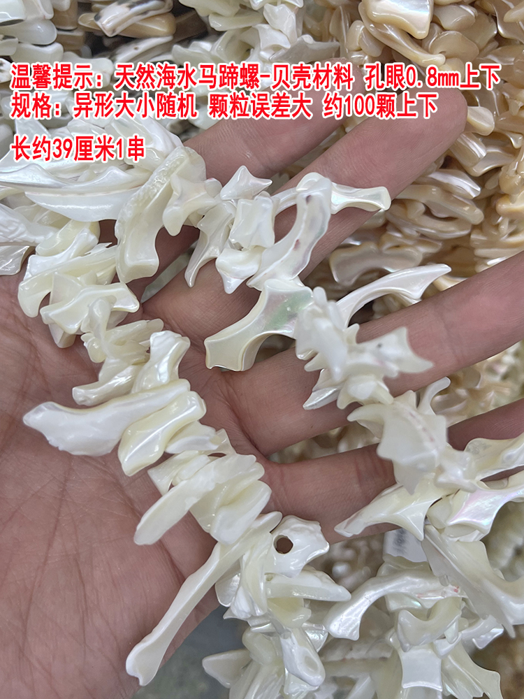 天然海水马蹄螺魔鬼菊花花瓣古风头饰手工自制耳饰品DIY材料-图0