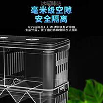 Fish Fry Incubators Small Fish Isolated Boxes Bullfish Peacock Fish Tropical Fish Hatchbox Multifunction Production House Acrylic Plate