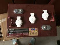 Qiu Jian storage battery T-105 US Trojan battery 6V225AH Qiu Jian T105