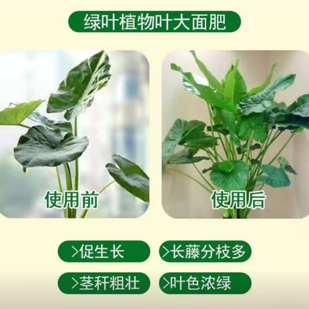 发酵豆饼肥料花肥花卉植物盆栽蔬菜促花生根壮苗通用型缓释有机肥 - 图0