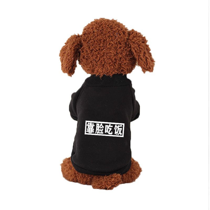 小狗狗衣服秋冬季小型犬泰迪比熊博美雪纳瑞幼犬猫咪冬天保暖卫衣-图0