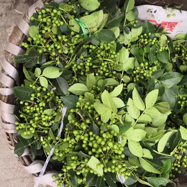 新鲜青花椒湖北宜昌农家青花椒本地土花椒新花椒生麻椒鲜青藤椒 - 图0