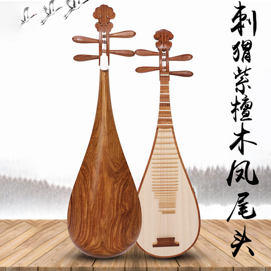 Instrumento Pipa para principiantes, examen de nivel de entrada, rendimiento profesional, pipa de palisandro, instrumento de pipa de caoba para niños medianos y adultos