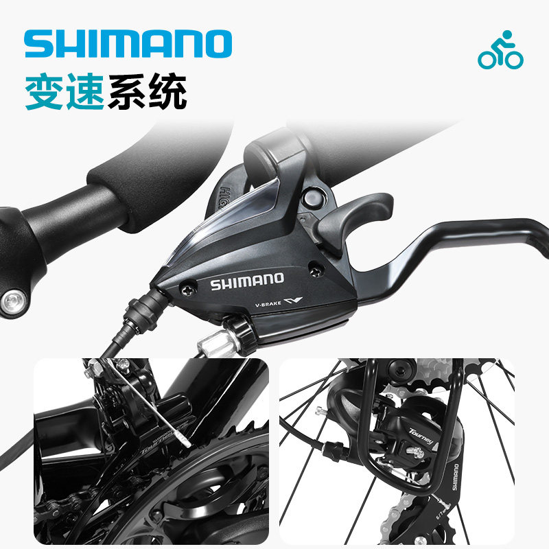  飞鸽自行车旅行自行车