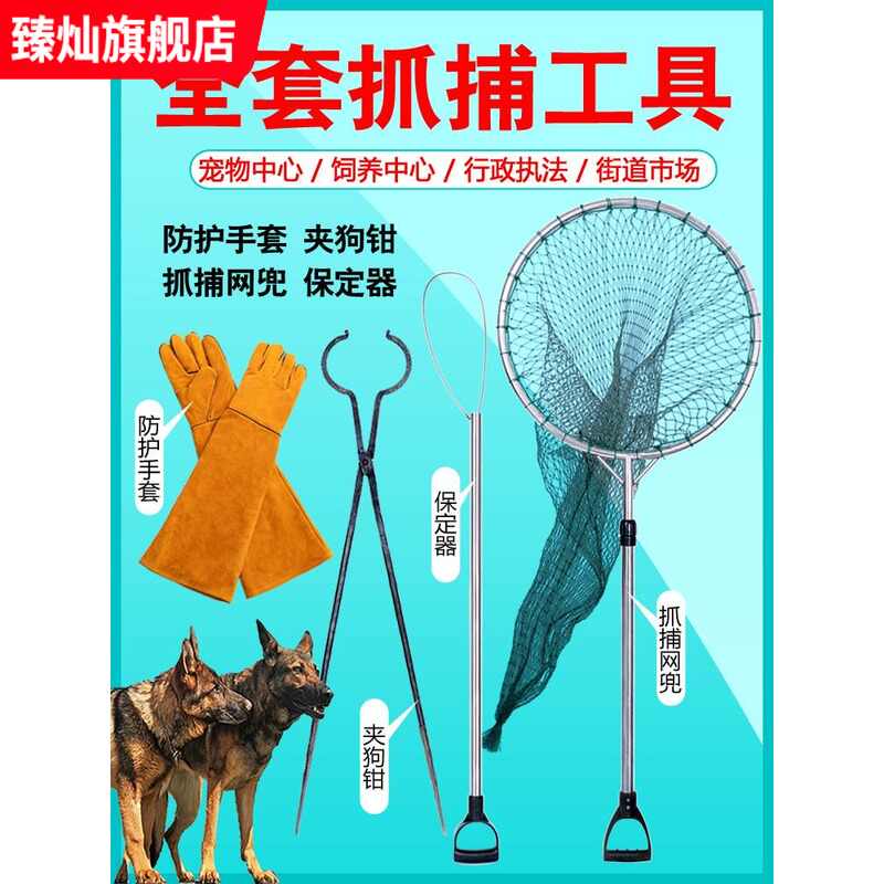 抓流浪狗工具 新人首單立減十元 2021年11月 淘寶海外