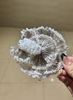 莫奈金鱼边夹银色发夹设计气质优雅经典百搭款