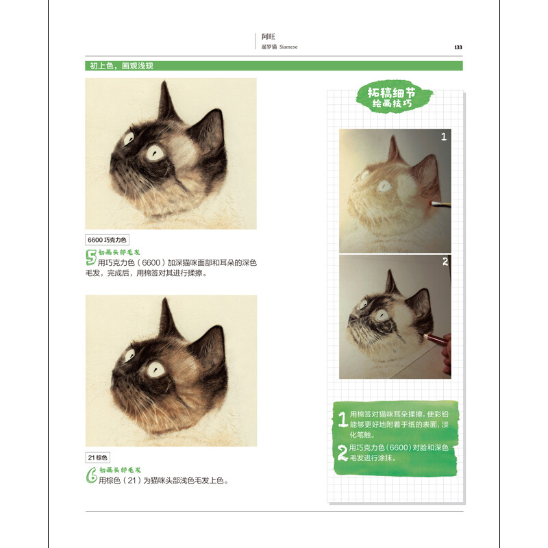 万物我画 猫 手把手教你零基础学绘画！31只色铅图绘猫咪让你萌到化！ - 图3