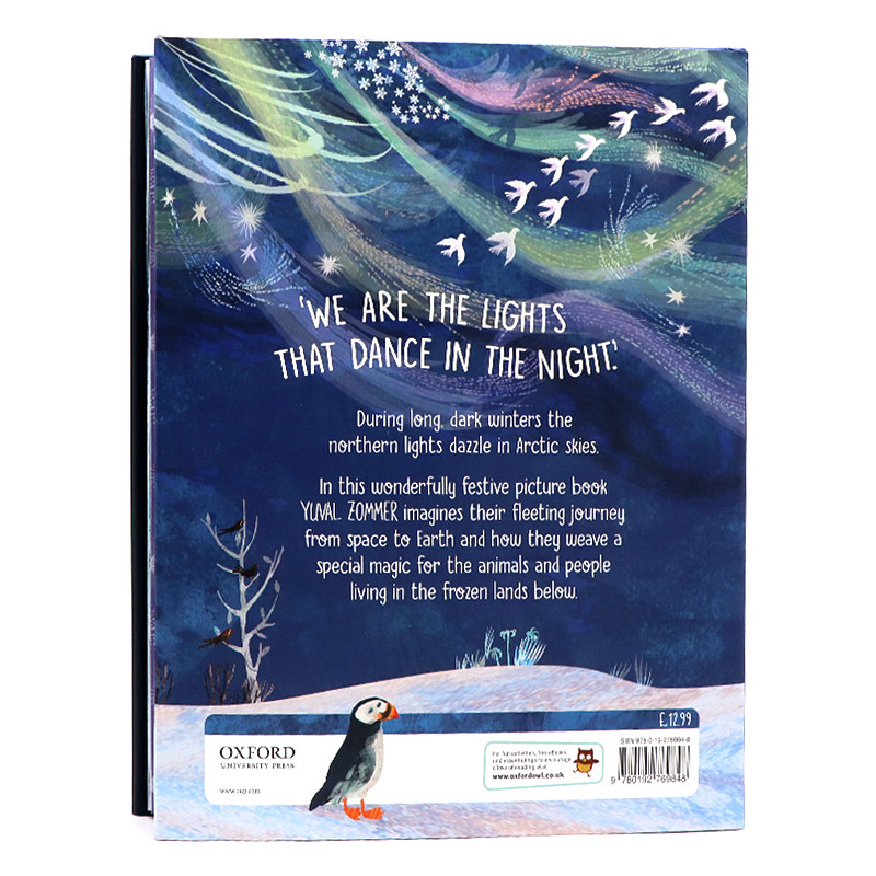 牛津精品认知绘本 灯光中跳舞 英文原版 The Lights That Dance In The Night 精装大开图画书 儿童英语启蒙认知阅读Yuval Zommer