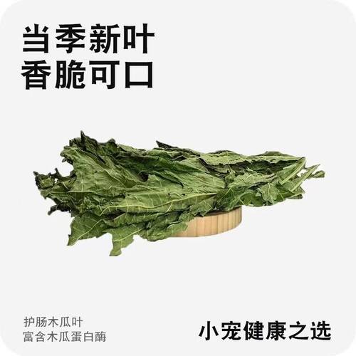 兔子木瓜叶荷兰猪豚鼠龙猫营养牧草木瓜树叶木瓜零食多种维生素 - 图2