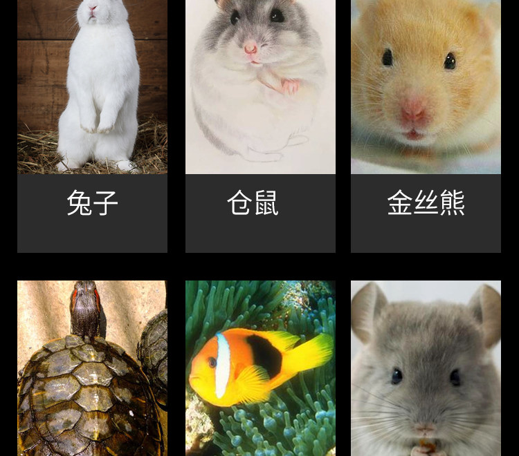 宠物兔子 零食胡萝卜水果蔬菜奶酪饼干荷兰猪龙猫木瓜干零食零嘴,淘宝优惠券,粉丝福利购,淘宝优惠卷