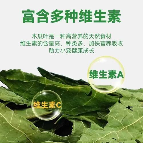 兔子木瓜叶荷兰猪豚鼠龙猫营养牧草木瓜树叶木瓜零食多种维生素 - 图1