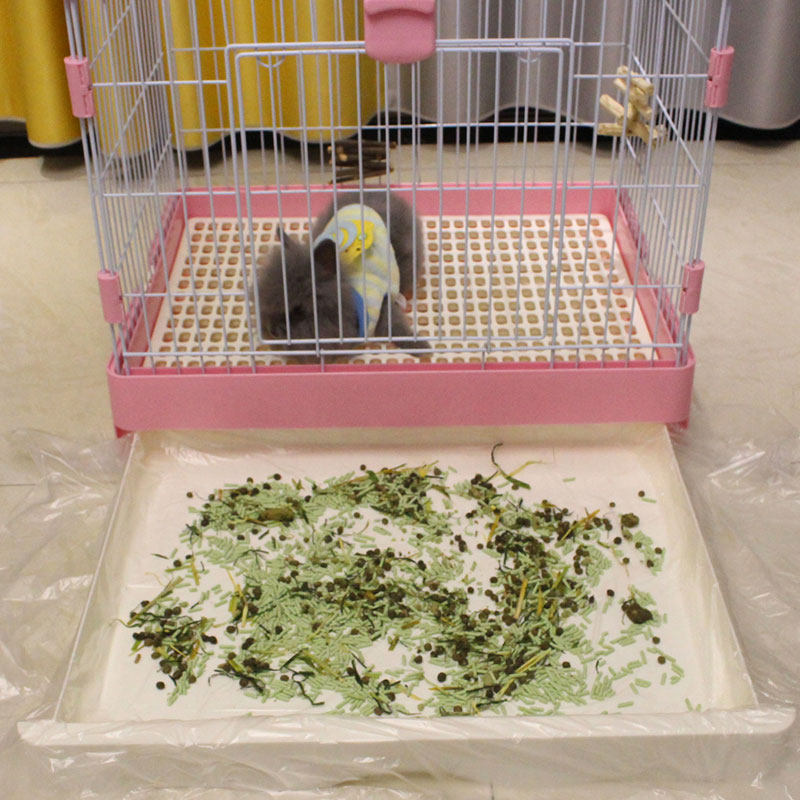 笼子薄膜一次性塑料垫兔子荷兰猪底盘厕所尿片兔笼清洁套宠物尿垫,淘宝优惠券,粉丝福利购,淘宝优惠卷