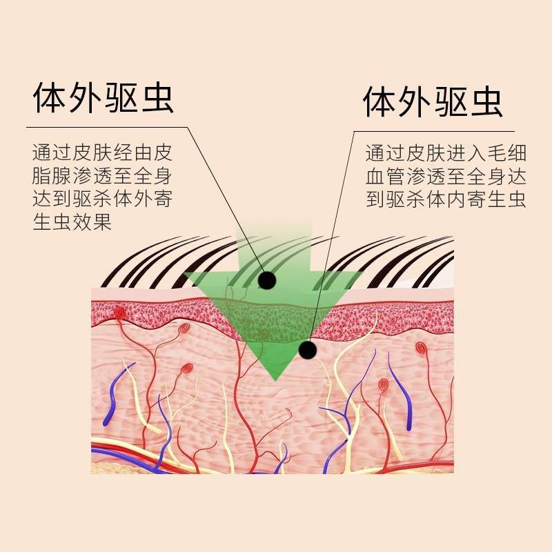 拜耳爱沃克狗狗驱虫药体内外一体外幼犬用滴剂宠物耳螨跳蚤 - 图0