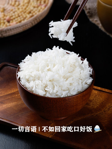 2026年新米猫牙米泰国香米长粒香大米5kg10kg油粘米丝苗米煲仔饭 - 图0