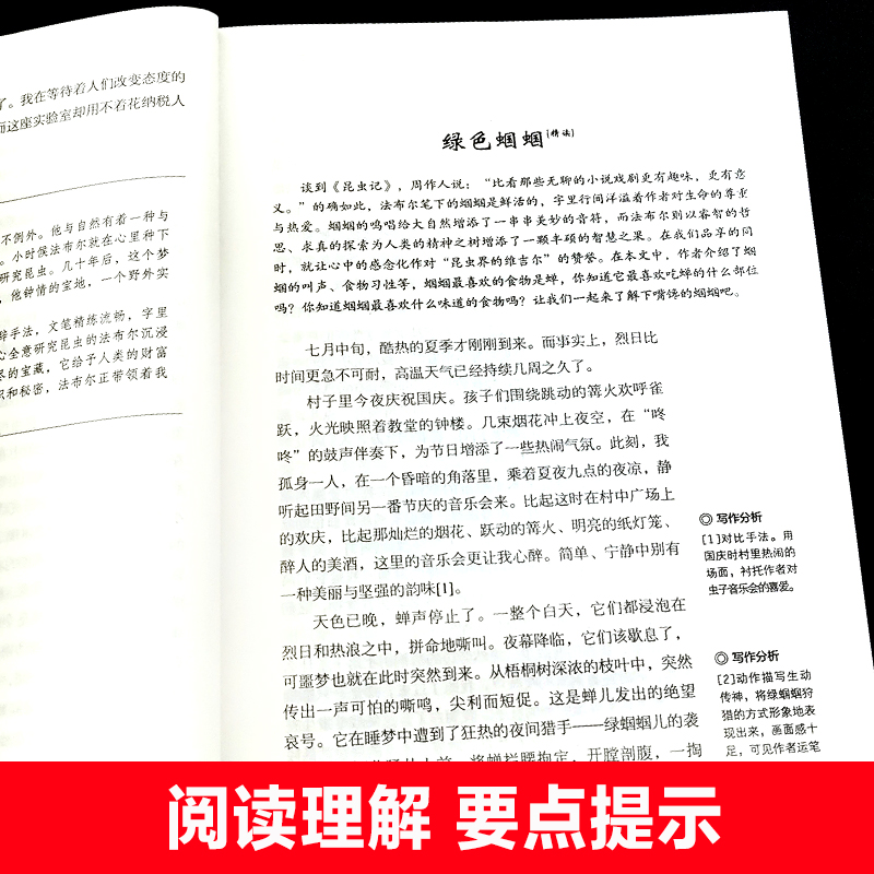 初中生语文中考必读名著读物全套十二本中学生课外阅读书籍老师朝花夕拾西游记骆驼祥子昆虫记经典常谈七八九年级上下册必读课外书 - 图2