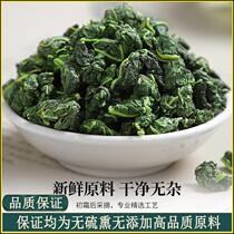 Hominin cream post frost mulberry leaf tea 500g kert class wild mulberry leaf mulberry leaf bubble water