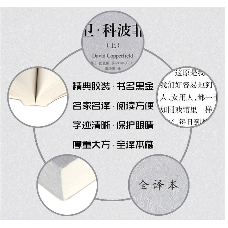 世界十大文学名著全套16册童年在人间我的大学高尔基三部曲战争与和平巴黎圣母院安娜卡列尼娜悲惨世界红与黑呼啸山庄大卫科波菲尔 - 图2