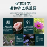 Калиевые дигидрогеновые фосфатные цветочные удобрения Специальные масштабные удобрения калия Сельскохозяйственные цветочные листья зеленые растения Общие цветочные растения