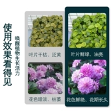 Калиевые дигидрогеновые фосфатные цветочные удобрения Специальные масштабные удобрения калия Сельскохозяйственные цветочные листья зеленые растения Общие цветочные растения