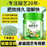 智绿 Специальное удобрение для цветов и цветов.