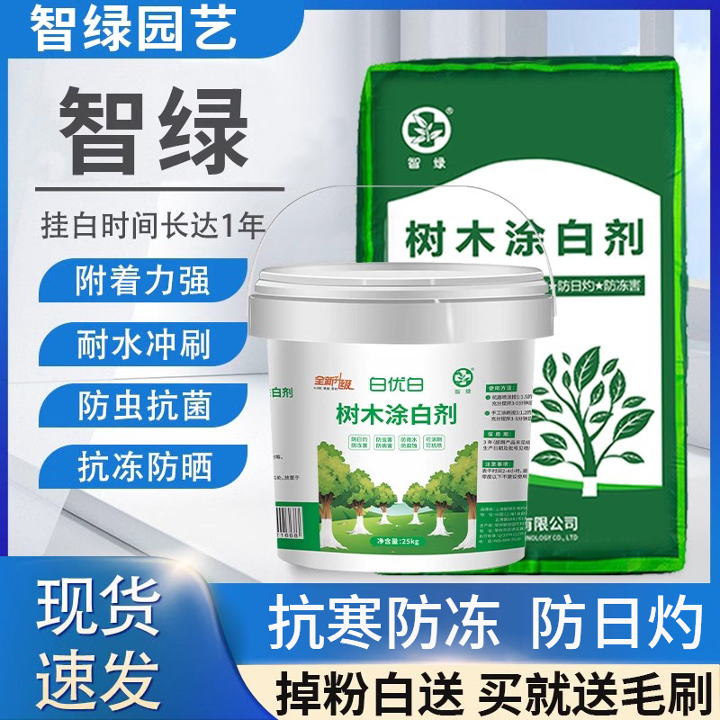 树木涂白剂果树刷白粉树干防冻防虫抗寒杀菌大树保护剂代替生石灰 - 图2