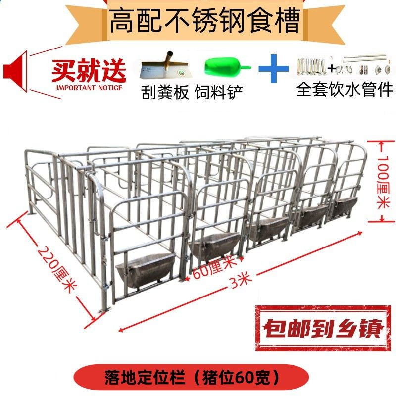 新款限位栏母猪定位栏带板母猪栏养猪栏位带漏粪板猪栏猪用定位栏 - 图1