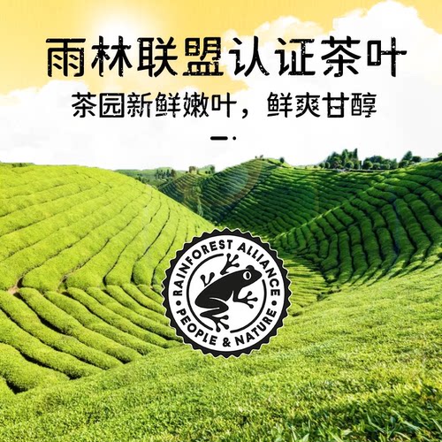 立顿红茶绿茶茉莉花乌龙茶叶独立花草茶酒店企业商用提神袋泡茶 - 图2