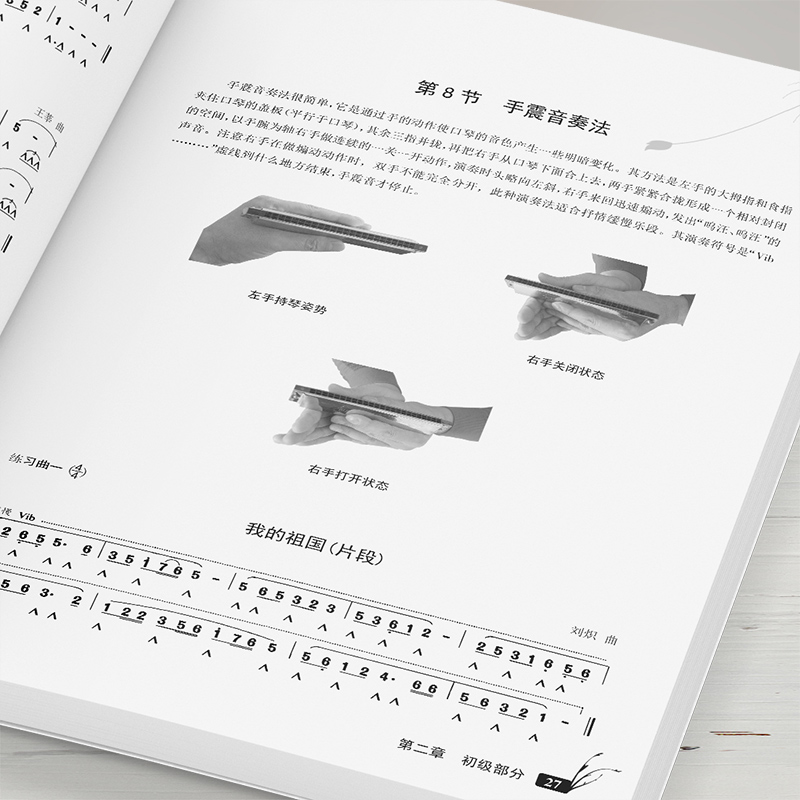 24孔复音口琴教材轻松自学视频示范讲解音频伴奏入门初级初学新手零基础从零起步教程书籍吹奏法一月通简谱曲集半音阶教学流行经典 - 图2