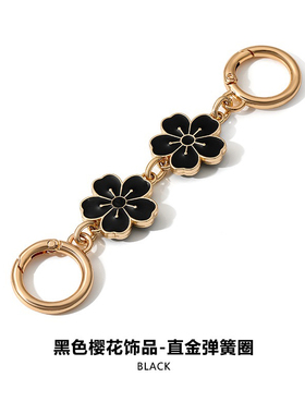 匠心手工坊适用蔻驰laurel延长链改造coach流浪包加长金属链配件