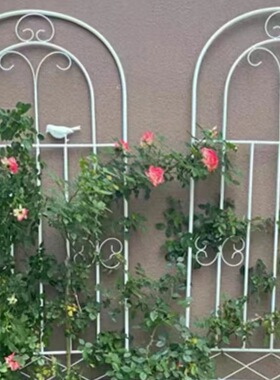 铁艺庭院花园户外花架铁线莲栅栏