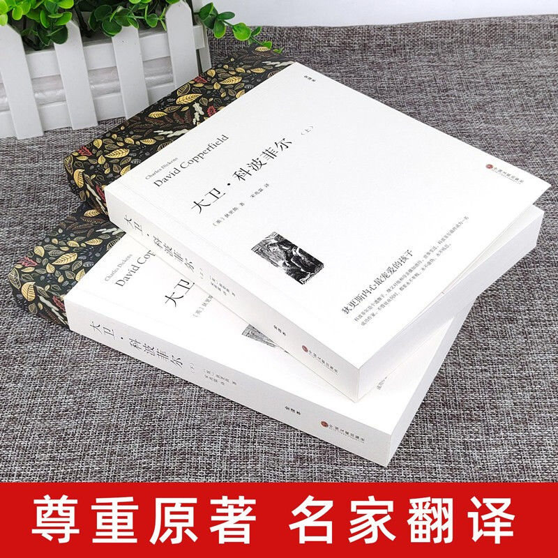 高中课外阅读书籍书目 大卫科波菲尔 复活列夫托尔斯泰 老人与海 百年孤独正版原著 高一高中生语文课外书世界名著 - 图0