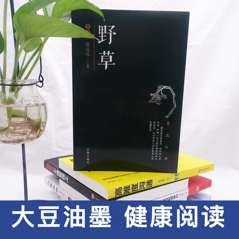 鲁迅小说作品集《野草》赏读内含野草诗集抒情散文诗 青少年中小学生课外读物中国现当代文现代散文诗书籍 - 图0