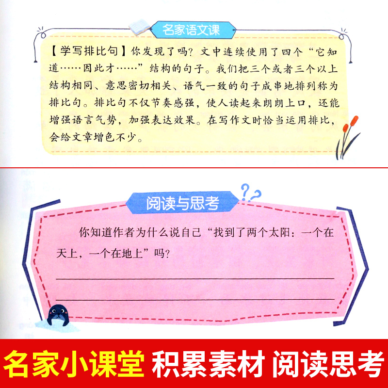 金波春夏秋冬美文注音版全套4册 阳光雨点儿树和喜鹊沙滩上的童话一年级阅读课外书拼音老师推荐人教版二上下年级四季童话美文书籍 - 图3