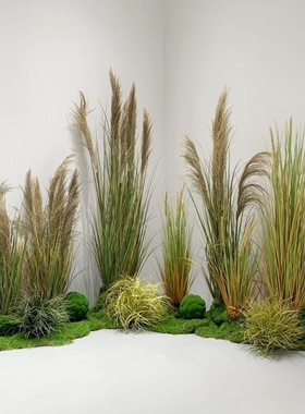 干花蒲苇草假花绿植盆栽婚庆家居装饰摆件狗尾巴草仿真花仿真芦苇