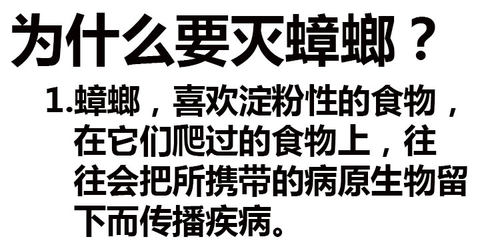 白额高脚蛛抓吃蟑螂的蜘蛛灭小强天敌克星吃蚊虫害虫活体宠物蜘蛛 - 图1