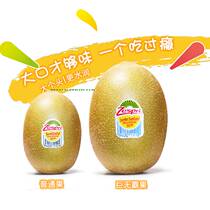 New Zealand Kiwifruit 22 25 Imported Yellow Heart Kiwifruit Big Fruit Golden Fruit Original Box Fresh Fruit