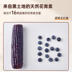 北纬47黑珍珠甜糯玉米200g*6穗