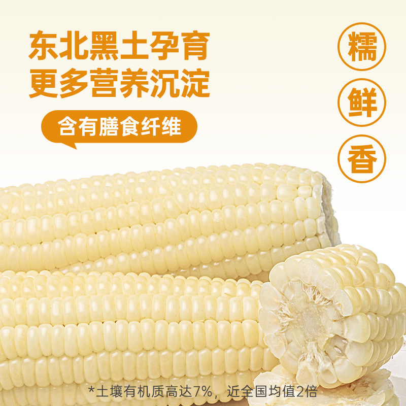 北纬47度糯玉米囤货装30穗轻食代餐东北玉米粗粮软糯清甜真空包装