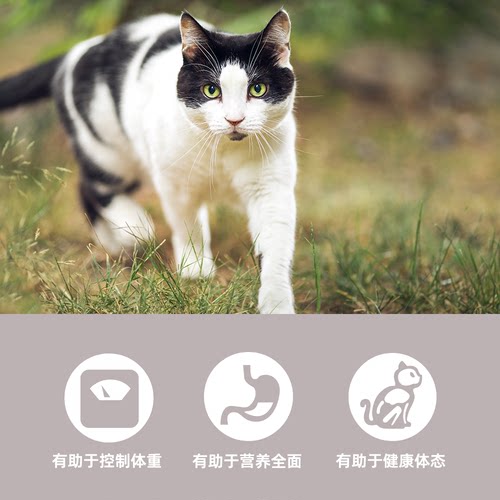 【官方旗舰】Orijen渴望原始猎食室内伴侣进口猫粮低脂减肥1.8kg - 图1