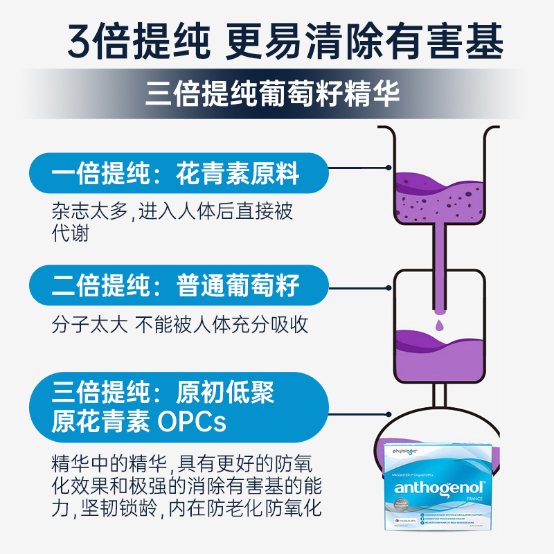 【自营】Anthogenol月光宝盒葡萄籽胶原蛋白花青素去黄氧化胶囊 - 图1