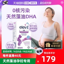 (Self-Employed) Elevit Philharmonia Algae Oil DHA Soft Capsule Pregnant pregnant Breastfeeding Period Nutrition 60 Grain Boxes